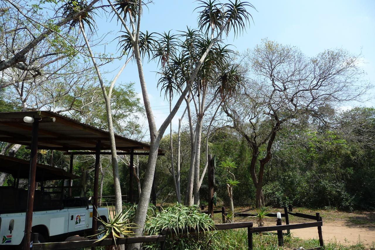 Isinkwe Bush Camp Villa Hluhluwe Luaran gambar