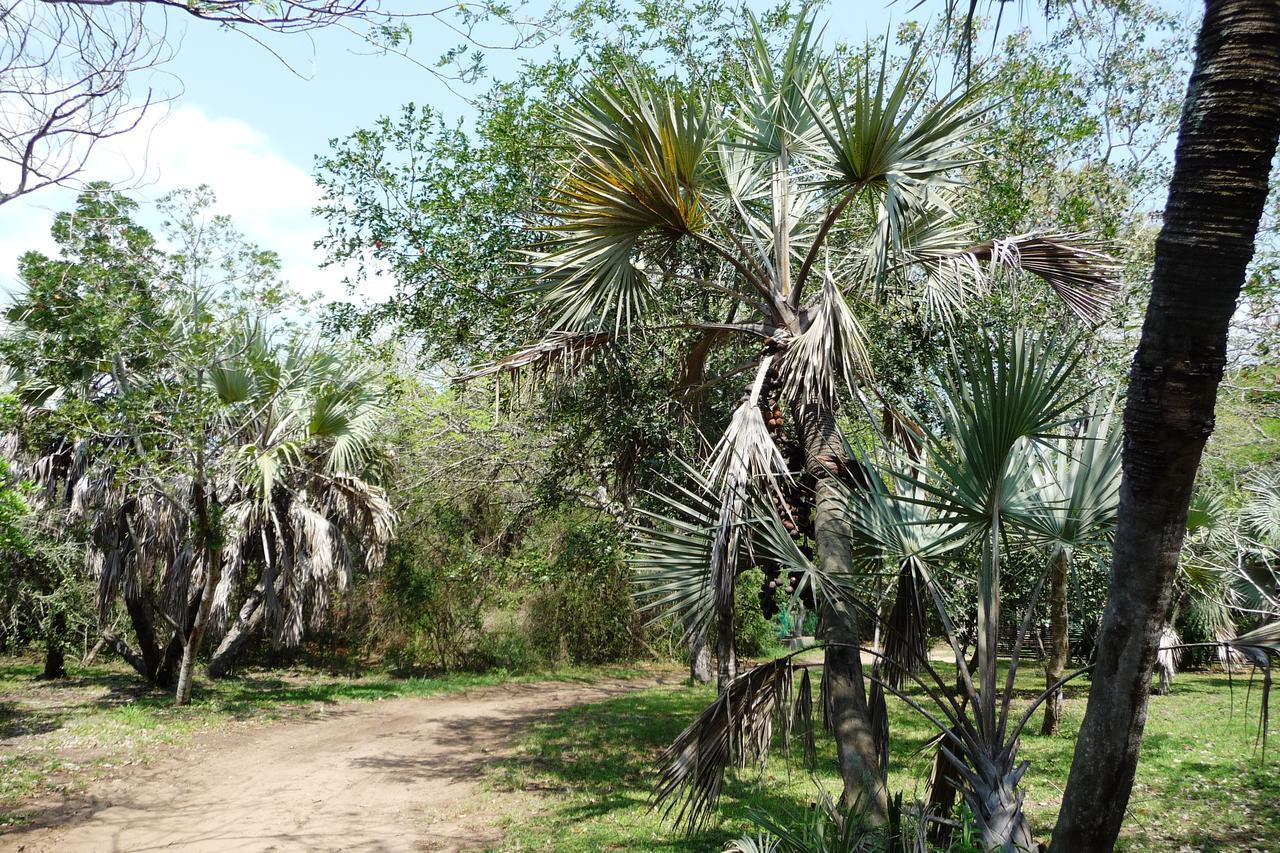 Isinkwe Bush Camp Villa Hluhluwe Luaran gambar