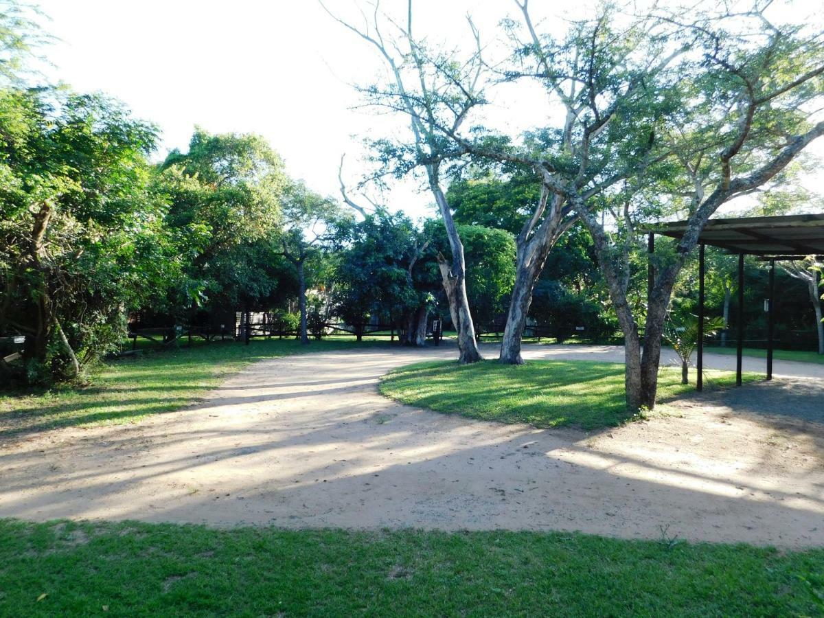 Isinkwe Bush Camp Villa Hluhluwe Luaran gambar